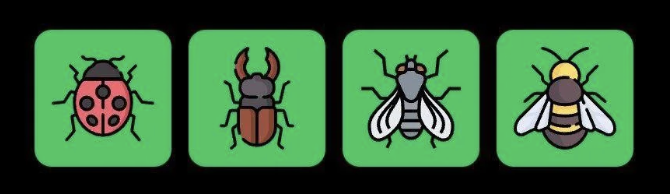 FLIES Daily Combo 23 April 2025